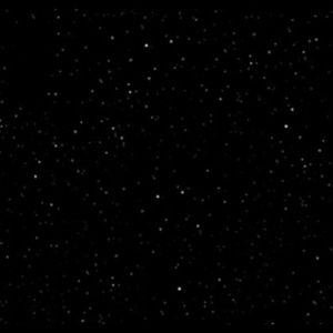 Meet your Posher, Anya